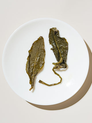 Oolong Tea | Traditional Dong Ding (Master Made) 鎮店凍頂