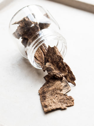 Incense Sticks | Hoi-An Agarwood/Oud | PURITY - YUMM-CHA