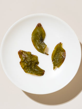 Oolong Tea | Four Season Green (Light Roasted Sijichun) 四季春