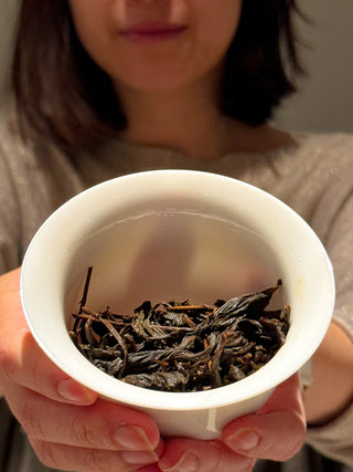 Exclusive Aged Teas Tasting | YUMM CHA x C*SPACE 老茶專題